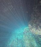 武藤潜水に投稿された画像（2025/10/19）