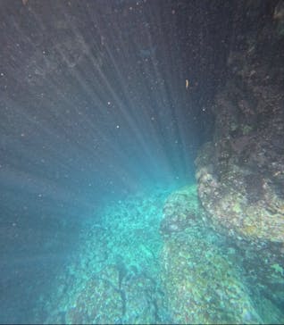 武藤潜水に投稿された画像（2025/10/19）