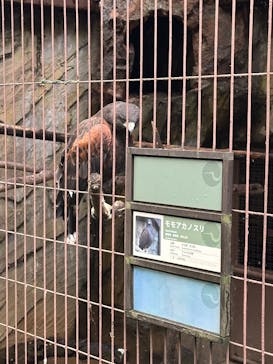 恩賜上野動物園に投稿された画像（2025/10/19）
