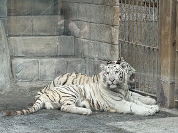 東武動物公園に投稿された画像（2025/10/19）