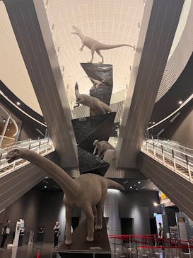 福井県立恐竜博物館に投稿された画像（2025/10/19）