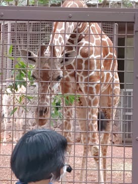 恩賜上野動物園に投稿された画像（2025/10/19）