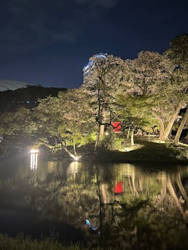 夜間特別開園 秋の夜長の小石川後楽園2025に投稿された画像（2025/10/19）