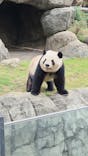 恩賜上野動物園に投稿された画像（2025/10/19）