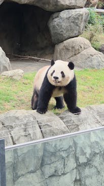 恩賜上野動物園に投稿された画像（2025/10/19）