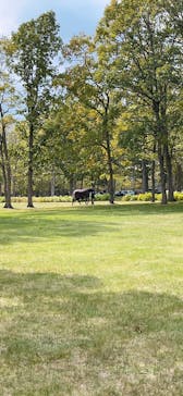 ノーザンホースパークに投稿された画像（2025/10/19）