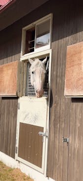 ノーザンホースパークに投稿された画像（2025/10/19）