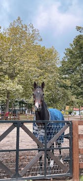 ノーザンホースパークに投稿された画像（2025/10/19）