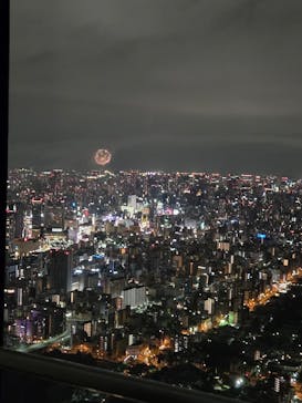 ハルカス300(展望台)に投稿された画像（2025/10/19）