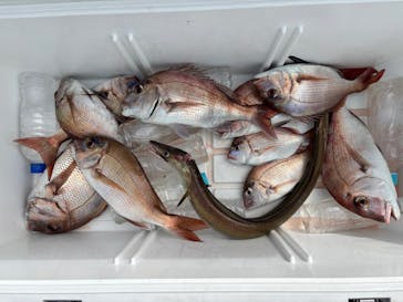 SUOフィッシングに投稿された画像（2025/10/19）