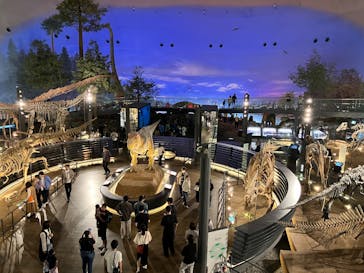 福井県立恐竜博物館に投稿された画像（2025/10/19）