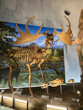 福井県立恐竜博物館に投稿された画像（2025/10/19）