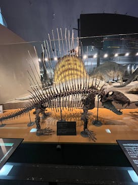 福井県立恐竜博物館に投稿された画像（2025/10/19）