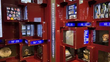 国立科学博物館に投稿された画像（2025/10/19）