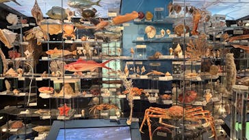 国立科学博物館に投稿された画像（2025/10/19）