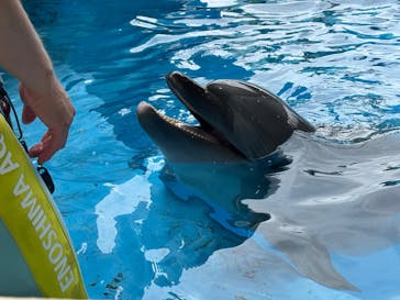 新江ノ島水族館に投稿された画像（2025/10/19）