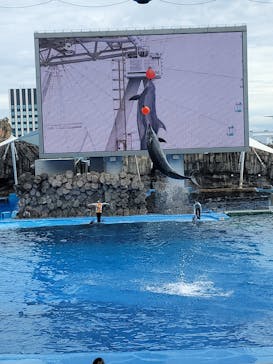 名古屋港水族館に投稿された画像（2025/10/19）