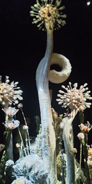 金曜ロードショーとジブリ展（静岡展）に投稿された画像（2025/10/19）