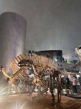 福井県立恐竜博物館に投稿された画像（2025/10/19）