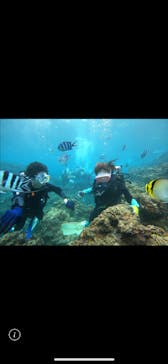 武藤潜水に投稿された画像（2025/10/19）