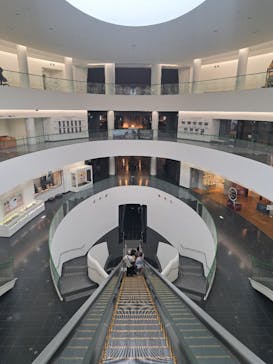 福井県立恐竜博物館に投稿された画像（2025/10/19）