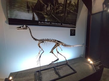 福井県立恐竜博物館に投稿された画像（2025/10/19）