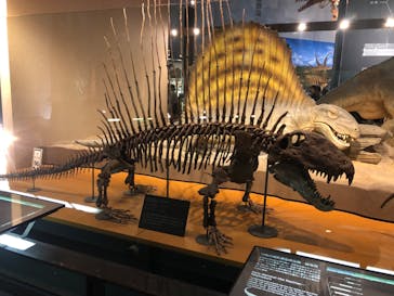 福井県立恐竜博物館に投稿された画像（2025/10/19）