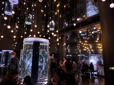 マクセル アクアパーク品川に投稿された画像（2025/10/19）