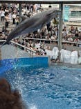 大分マリーンパレス水族館 「うみたまご」に投稿された画像（2025/10/19）