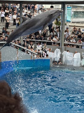 大分マリーンパレス水族館 「うみたまご」に投稿された画像（2025/10/19）