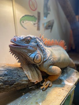 アニタッチららぽーと名古屋みなとアクルスに投稿された画像（2025/10/19）