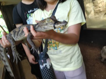 体感型動物園iZooに投稿された画像（2025/10/19）