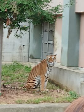 天王寺動物園に投稿された画像（2025/10/19）
