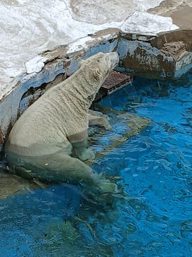 天王寺動物園に投稿された画像（2025/10/19）