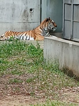 天王寺動物園に投稿された画像（2025/10/19）