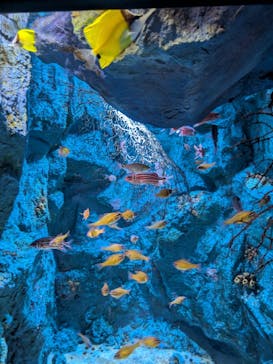 竹島水族館に投稿された画像（2025/10/19）