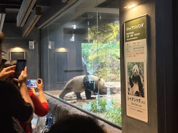 恩賜上野動物園に投稿された画像（2025/10/19）