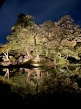 夜間特別開園 秋の夜長の小石川後楽園2025に投稿された画像（2025/10/19）