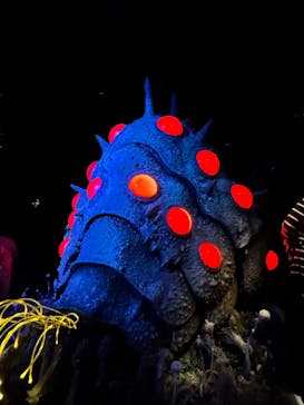 金曜ロードショーとジブリ展（静岡展）に投稿された画像（2025/10/19）