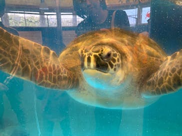 越前松島水族館に投稿された画像（2025/10/19）