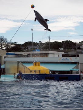 越前松島水族館に投稿された画像（2025/10/19）