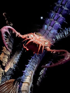 金曜ロードショーとジブリ展（静岡展）に投稿された画像（2025/10/19）