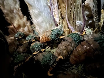 金曜ロードショーとジブリ展（静岡展）に投稿された画像（2025/10/19）