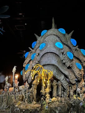 金曜ロードショーとジブリ展（静岡展）に投稿された画像（2025/10/19）