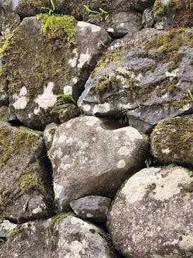 松江城に投稿された画像（2025/10/19）