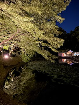 夜間特別開園 秋の夜長の小石川後楽園2025に投稿された画像（2025/10/19）