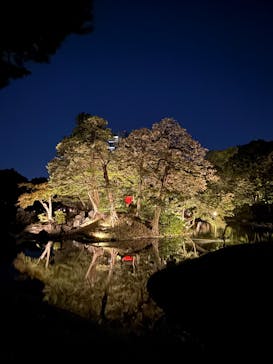 夜間特別開園 秋の夜長の小石川後楽園2025に投稿された画像（2025/10/19）