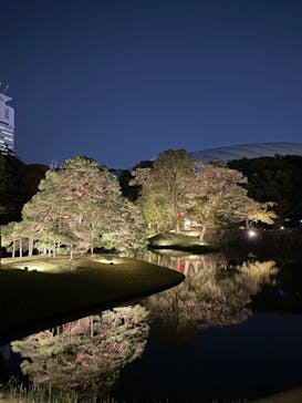 夜間特別開園 秋の夜長の小石川後楽園2025に投稿された画像（2025/10/19）