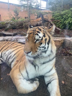 那須どうぶつ王国に投稿された画像（2025/10/19）