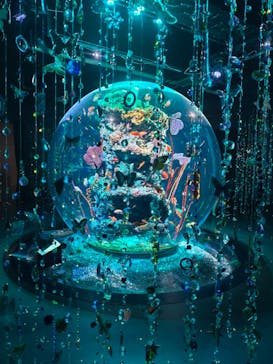 AQUARIUM × ART　atoaに投稿された画像（2025/10/19）